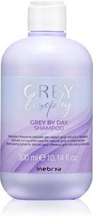 Шампунь тонуючий для натурального, сивого та блондованого волосся Inebrya GreyLosophy Grey By Day Shampoo